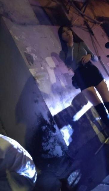 东莞 东城桑园龙湖公园，狼友们